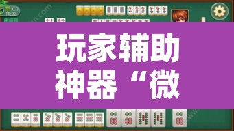 玩家辅助神器“微乐海南麻将小程序必赢神器”其实确实有挂