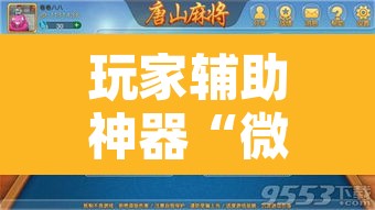 玩家辅助神器“微乐安徽麻将怎么提高胜率”开挂辅助脚本+详细开挂安装教程