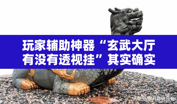 玩家辅助神器“玄武大厅有没有透视挂”其实确实有挂