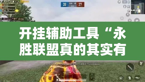 开挂辅助工具“永胜联盟真的其实有挂”(透视)其实确实有挂