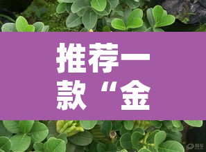 推荐一款“金华佛手到底有没有挂”其实确实有挂
