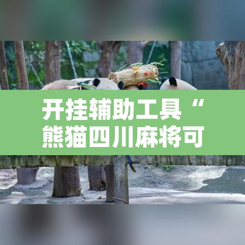开挂辅助工具“熊猫四川麻将可以开挂吗	”其实确实有挂