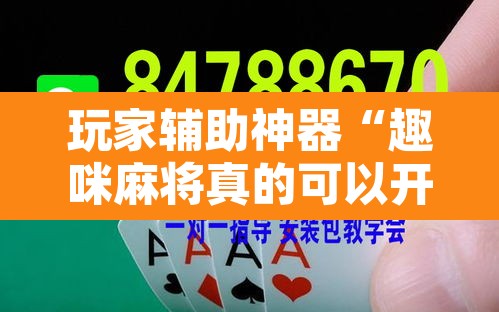 玩家辅助神器“趣咪麻将真的可以开挂吗”其实确实有挂