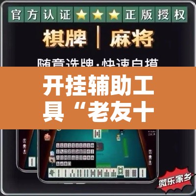 开挂辅助工具“老友十三水万能辅助器	”附辅助神器开挂脚本详细步骤