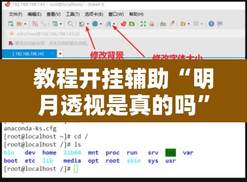 教程开挂辅助“明月透视是真的吗	”开挂辅助脚本+详细开挂安装教程