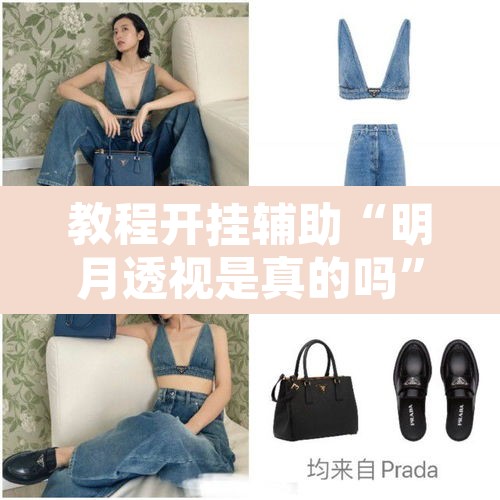 教程开挂辅助“明月透视是真的吗”开挂辅助脚本+详细开挂安装教程