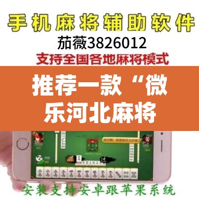 推荐一款“微乐河北麻将开挂教程”(透视挂)辅助透视教程