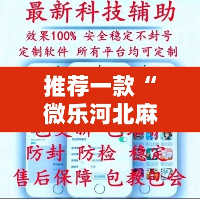 推荐一款“微乐河北麻将开挂教程”(透视挂)辅助透视教程