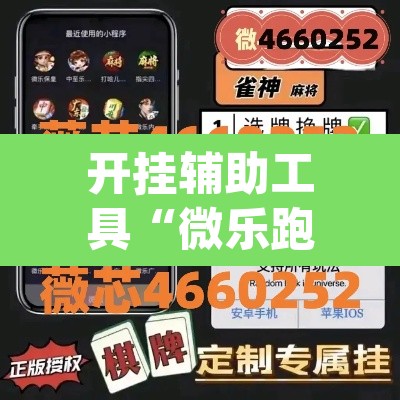 开挂辅助工具“微乐跑得快开挂下载安装微信	”(透视挂)辅助透视教程