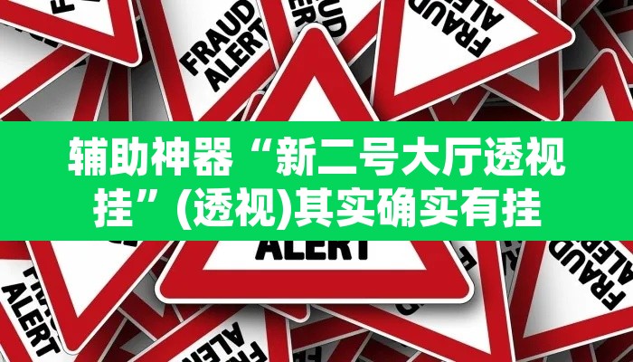 辅助神器“新二号大厅透视挂”(透视)其实确实有挂