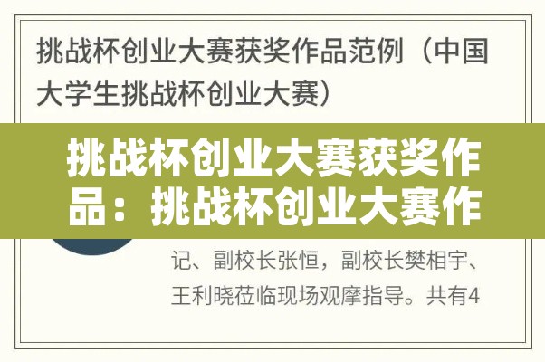 挑战杯创业大赛获奖作品：挑战杯创业大赛作品集