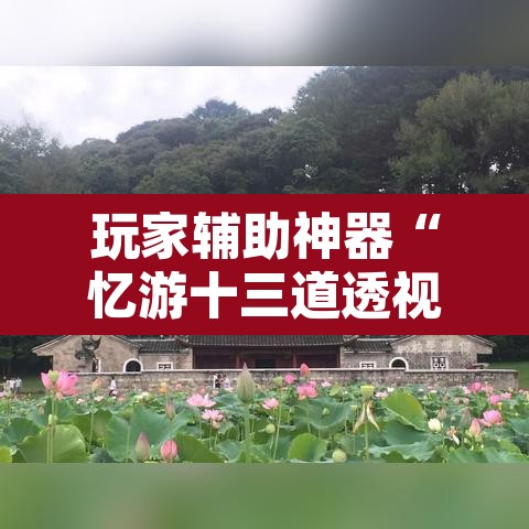 玩家辅助神器“忆游十三道透视开挂神器”其实确实有挂