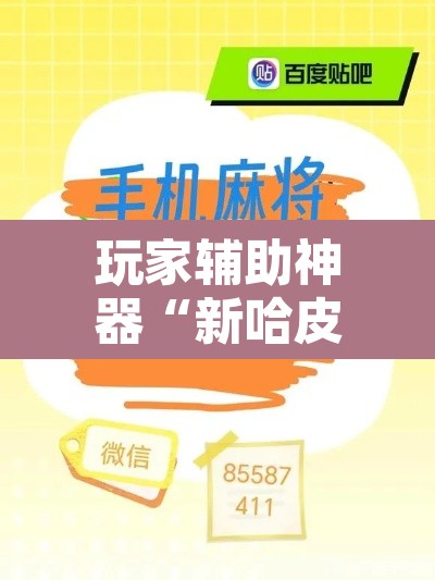 玩家辅助神器“新哈皮手游有挂吗的确有挂”附辅助神器开挂脚本详细步骤
