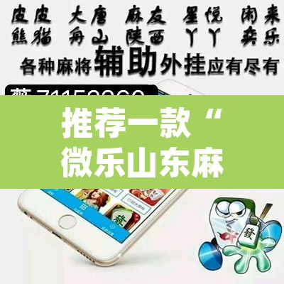 推荐一款“微乐山东麻将万能开挂器通用版”(透视挂)辅助透视教程
