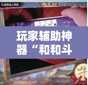 玩家辅助神器“和和斗地主透视底牌	”(透视)其实确实有挂