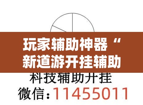 玩家辅助神器“新道游开挂辅助软件”(透视)其实确实有挂