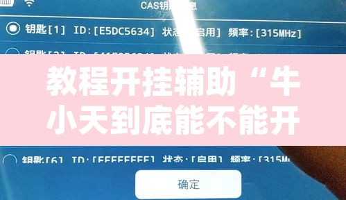 教程开挂辅助“牛小天到底能不能开挂	”(透视)其实确实有挂