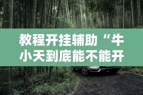 教程开挂辅助“牛小天到底能不能开挂”(透视)其实确实有挂