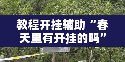 教程开挂辅助“春天里有开挂的吗	”其实确实有挂