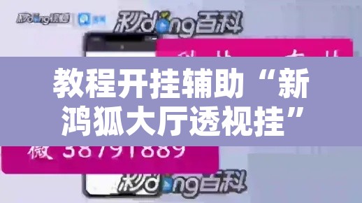 教程开挂辅助“新鸿狐大厅透视挂”开挂辅助脚本+详细开挂安装教程