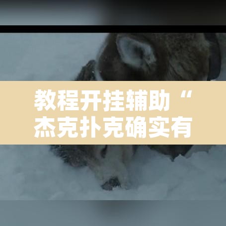教程开挂辅助“杰克扑克确实有挂吗”开挂辅助脚本+详细开挂安装教程