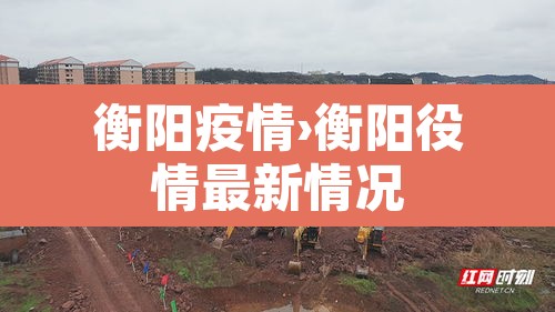 衡阳疫情›衡阳役情最新情况