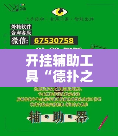 开挂辅助工具“德扑之星辅助器”开挂辅助脚本+详细开挂安装教程