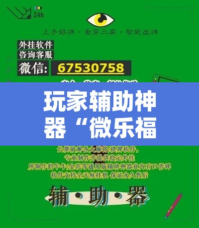 玩家辅助神器“微乐福建麻将有没有挂”开挂辅助脚本+详细开挂安装教程
