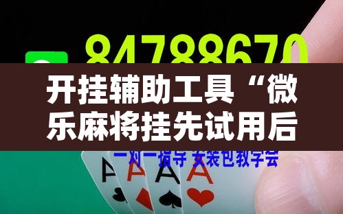 开挂辅助工具“微乐麻将挂先试用后付款”其实确实有挂