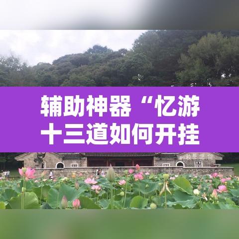 辅助神器“忆游十三道如何开挂	”(透视挂)辅助透视教程