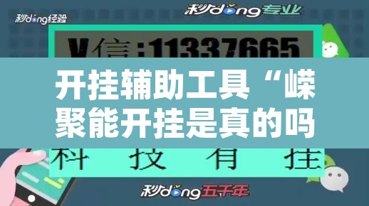 开挂辅助工具“嵘聚能开挂是真的吗”开挂辅助脚本+详细开挂安装教程