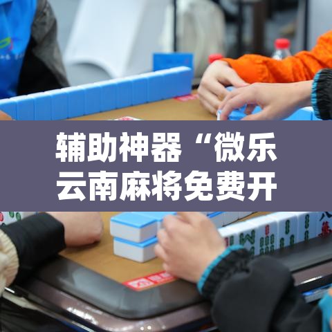 辅助神器“微乐云南麻将免费开挂手机版	”(透视)其实确实有挂