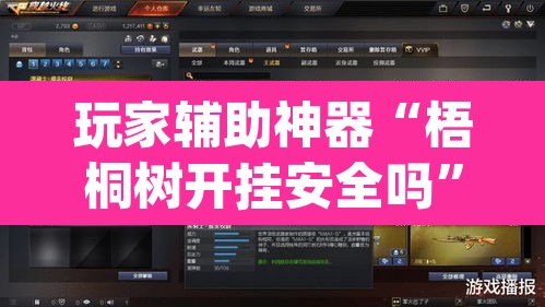 玩家辅助神器“梧桐树开挂安全吗”(透视)其实确实有挂