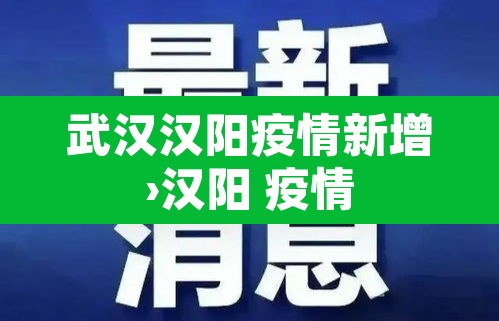 武汉汉阳疫情新增›汉阳 疫情