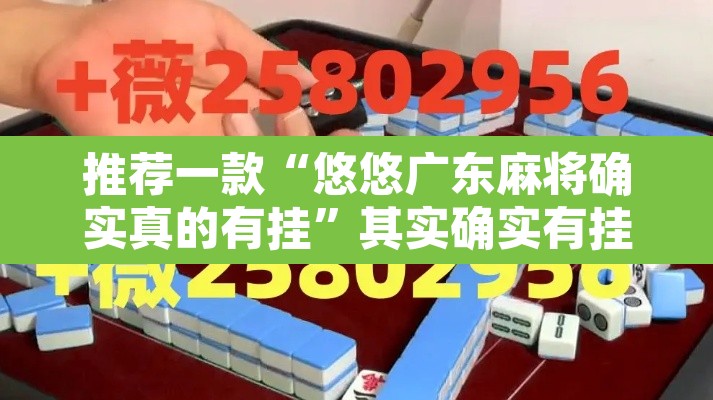 推荐一款“悠悠广东麻将确实真的有挂	”其实确实有挂