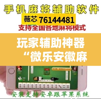 玩家辅助神器“微乐安徽麻将怎么提高胜率”(透视)其实确实有挂