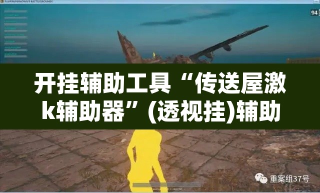 开挂辅助工具“传送屋激k辅助器	”(透视挂)辅助透视教程