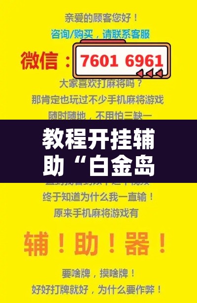 教程开挂辅助“白金岛跑胡子开挂辅助教程	”其实确实有挂