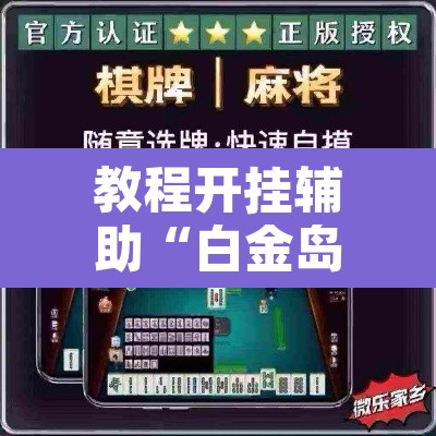 教程开挂辅助“白金岛跑胡子开挂辅助教程”其实确实有挂