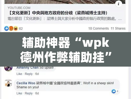 辅助神器“wpk德州作弊辅助挂	”开挂辅助脚本+详细开挂安装教程