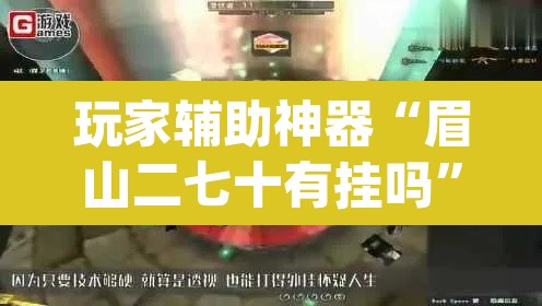 玩家辅助神器“眉山二七十有挂吗	”(透视)其实确实有挂