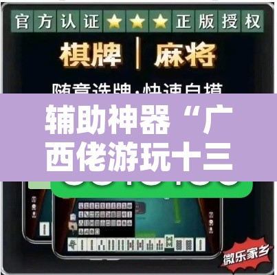 辅助神器“广西佬游玩十三张辅助器”附辅助神器开挂脚本详细步骤