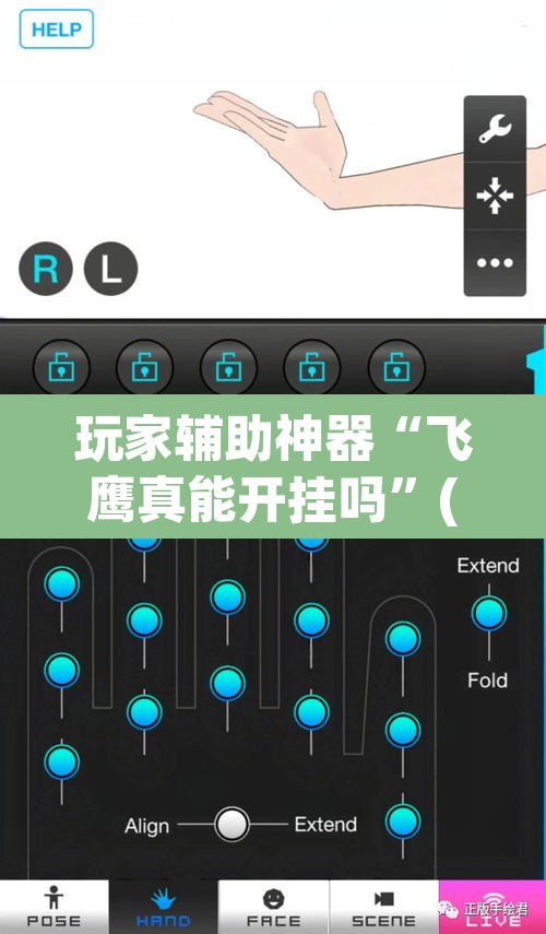 玩家辅助神器“飞鹰真能开挂吗	”(透视挂)辅助透视教程
