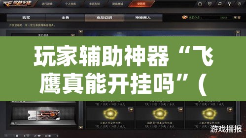 玩家辅助神器“飞鹰真能开挂吗	”(透视挂)辅助透视教程