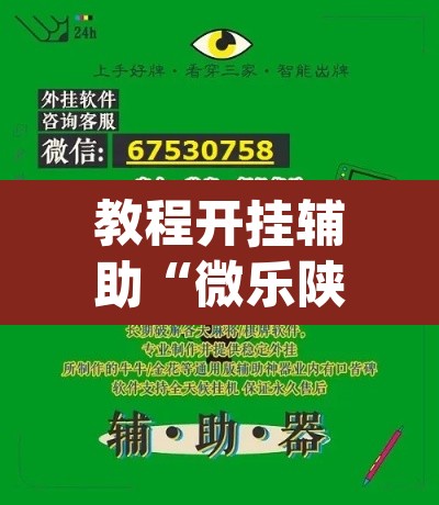 教程开挂辅助“微乐陕西挖坑开挂教程”(透视挂)辅助透视教程