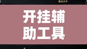 开挂辅助工具“白金岛十胡卡能装透视挂吗”其实确实有挂