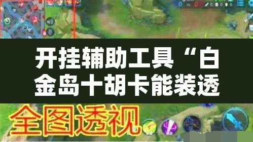 开挂辅助工具“白金岛十胡卡能装透视挂吗	”其实确实有挂