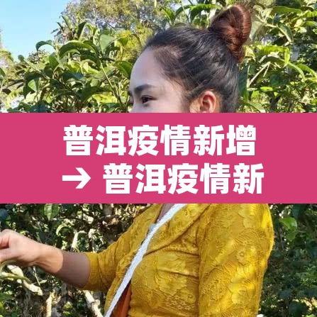 普洱疫情新增 → 普洱疫情新增最新消息