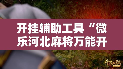开挂辅助工具“微乐河北麻将万能开挂器免费通用版”开挂辅助脚本+详细开挂安装教程