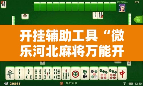 开挂辅助工具“微乐河北麻将万能开挂器免费通用版”开挂辅助脚本+详细开挂安装教程